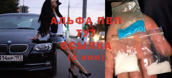 apvp Гусев