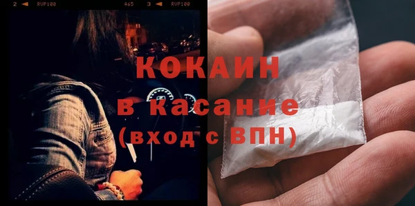 apvp Гусев