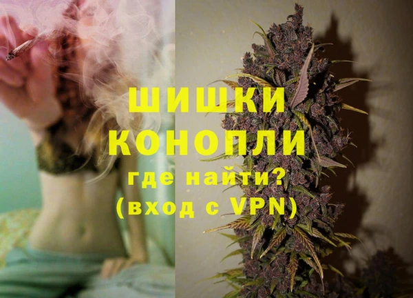 apvp Гусев