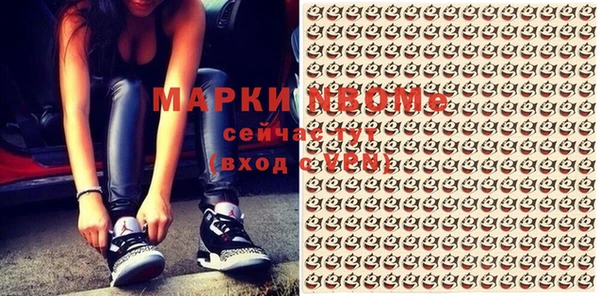 apvp Гусев