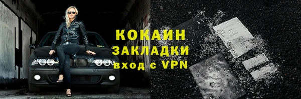 apvp Гусев