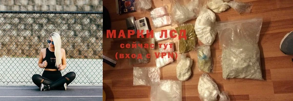 apvp Гусев