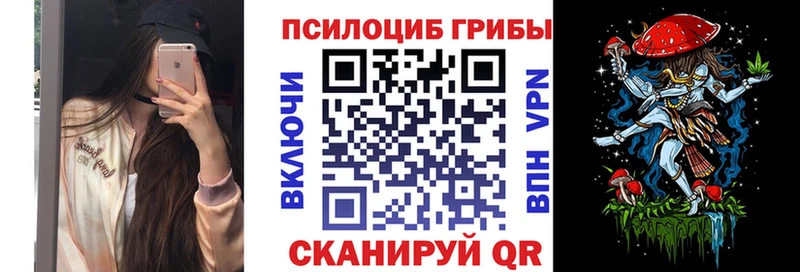 Купить закладки  Елабуга  Псилоцибиновые грибы GOLDEN TEACHER 